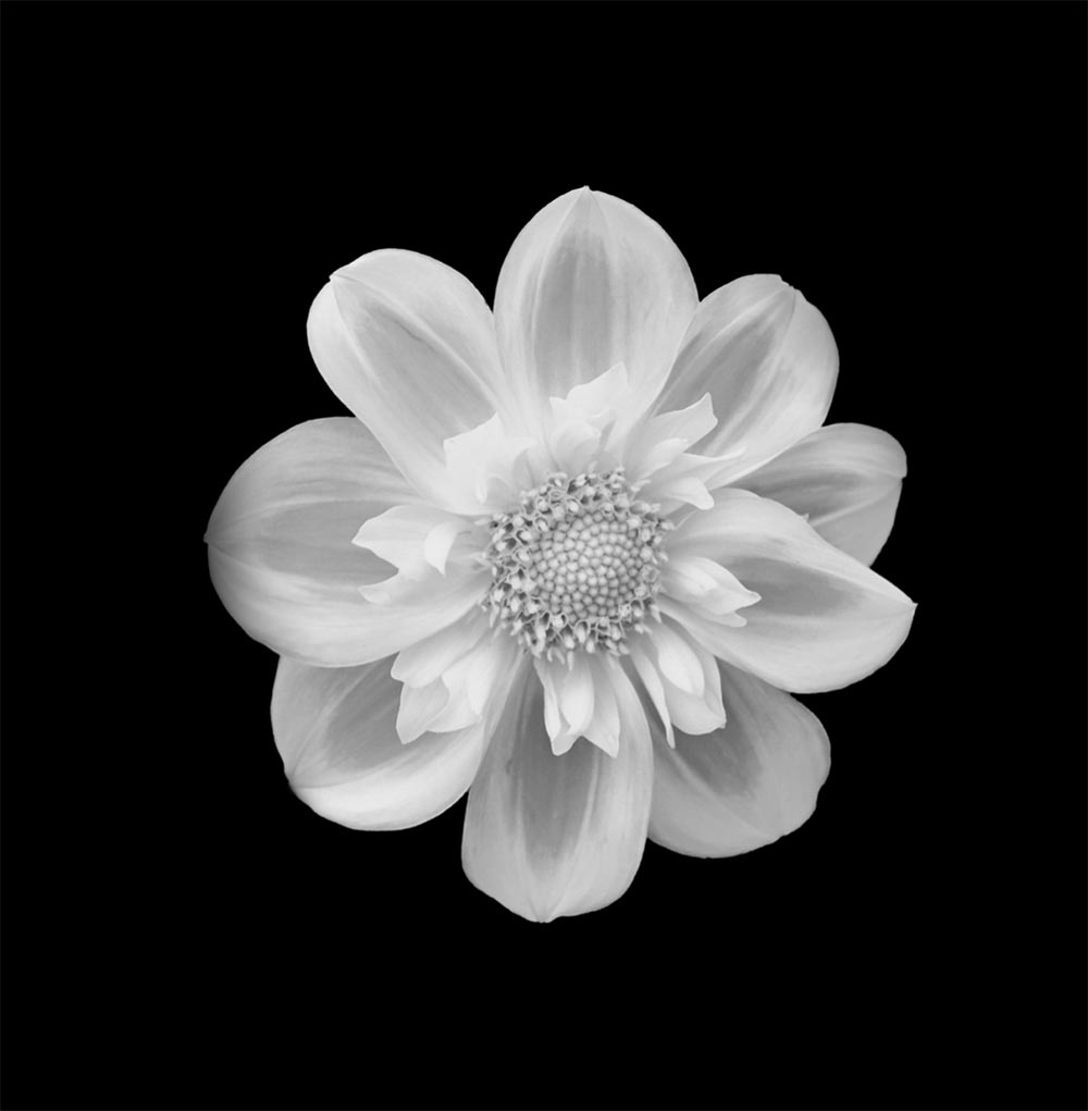 Accompagnement dans la fin de vie avec Léa Céleste