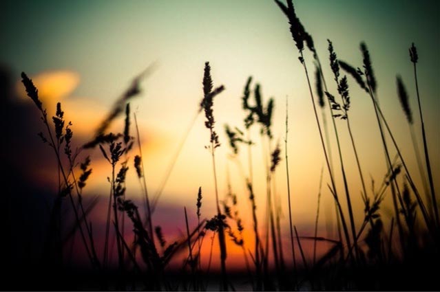 Image de deuil avec Léa Céleste